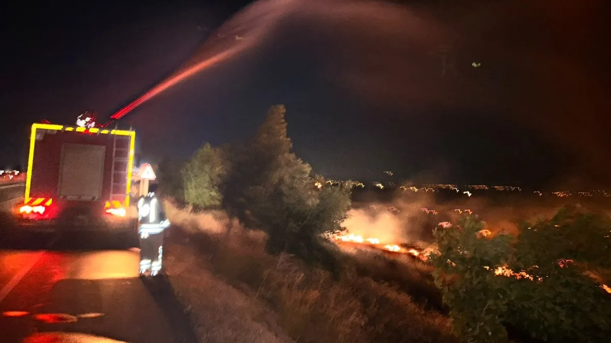 Hatay'da anız yangını! Alevler zeytinliğe sıçradı