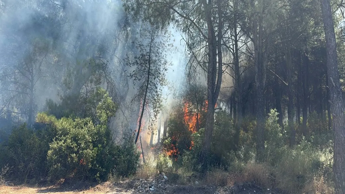 İzmir'de orman yangınına sebep olan 2 şüpheli gözaltına alındı
