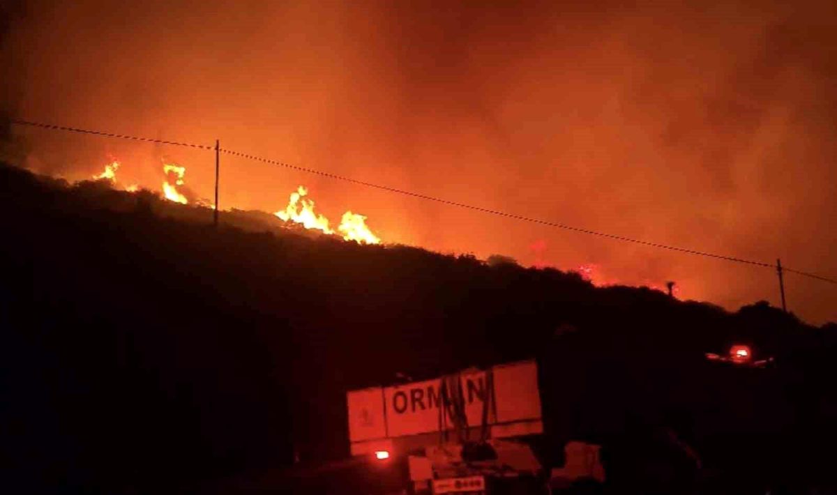 İzmir'de makilik alandaki yangın kontrol altında