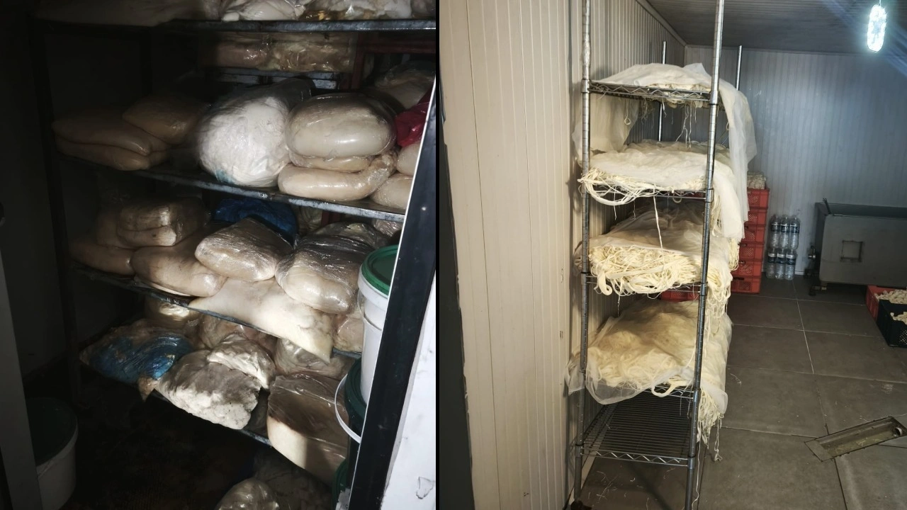 Halk sağlığıyla böyle oynadılar! 9 ton bozuk süt yakalandı