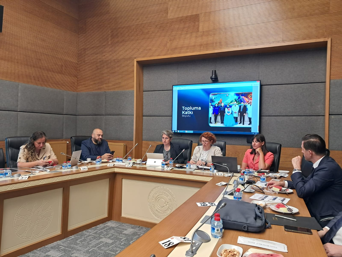Disney, hbo ve netflix temsilcileri tbmm'de çocuk profili, pın ve yaş sınırlaması uygulamalarını anlattı: "hepimizin eli..