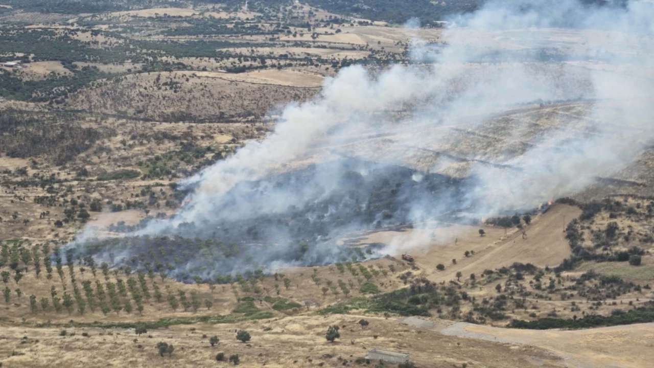 Çanakkale'de orman yangını