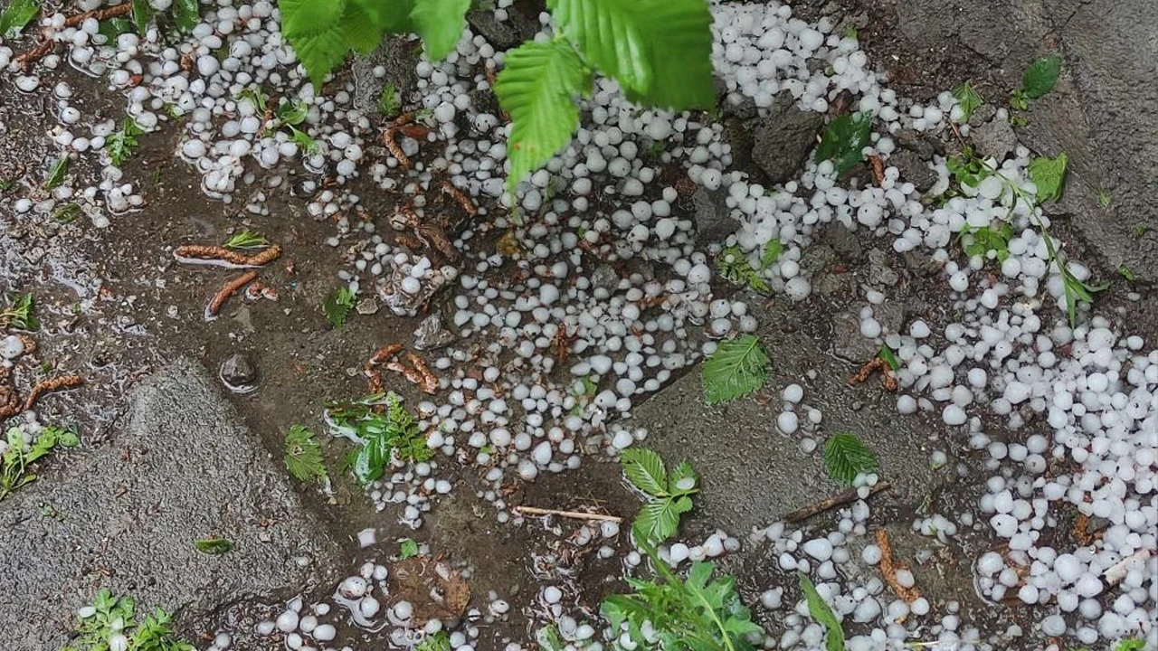 Ardahan’da şiddetli dolu yağışı tarım arazilerini vurdu