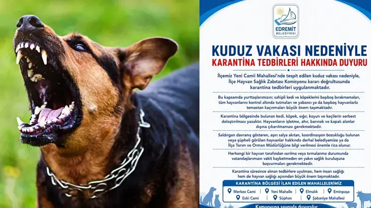İlk vaka tespit edildi! Bir ilimizde kuduz karantinası; vatandaşlara kritik uyarılar