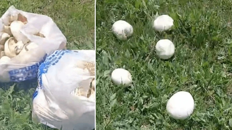 45 dakikada servet topladı: Erzurum'daki görüntüler herkesi şaşırttı, yağmur bereket getirdi