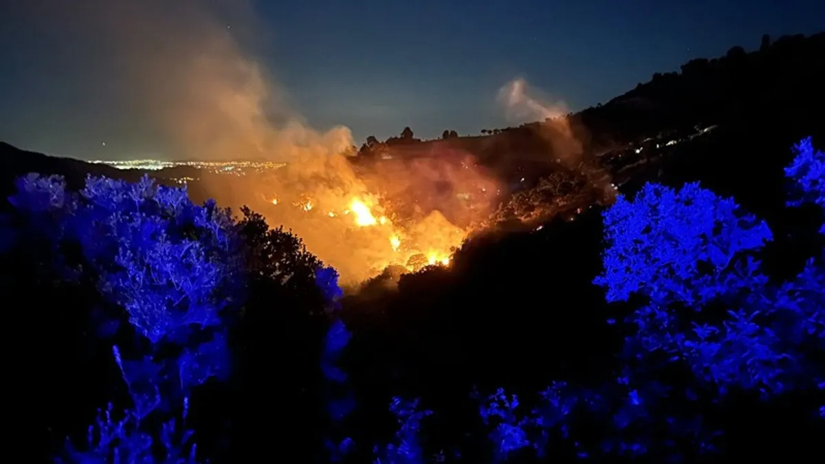 İzmir'de ormanlık alanda çıkan yangın kontrol altına alındı