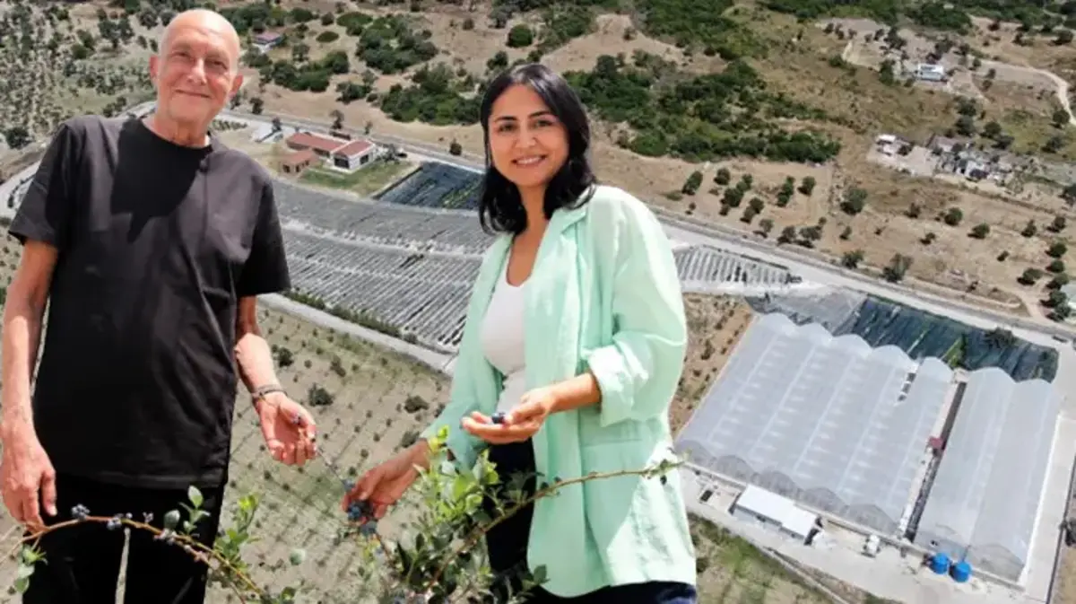Yurt dışındaki işini bırakıp İzmir'e yerleştiler! Boş araziyi üretim üssüne çevirip servet değerinde ürün yetiştiriyorlar