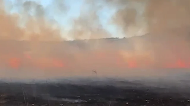 Balıkesir'de arazi yangınına havadan ve karadan müdahale