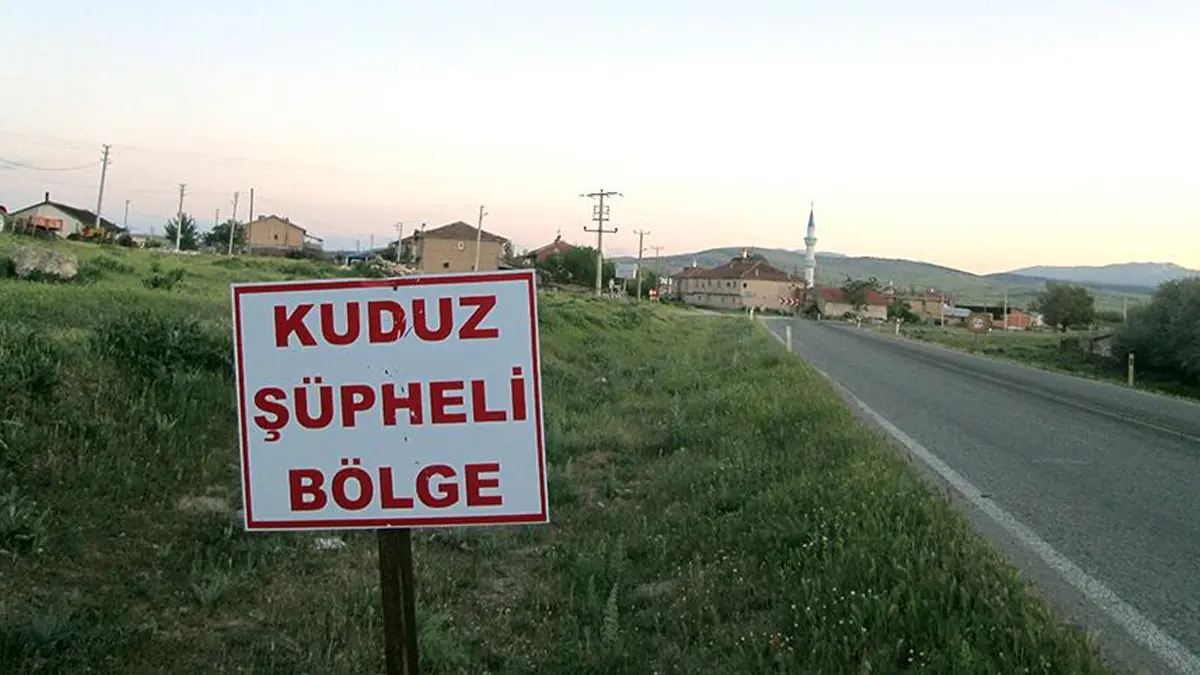 Van'da kuduz alarmı! Bölgede karantina tedbirleri uygulanmaya başlandı