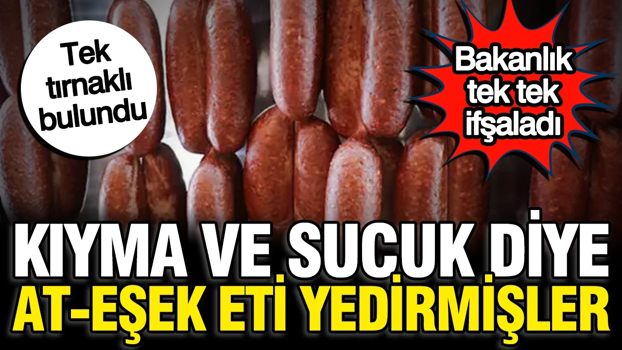 Bakanlık 3 firma açıkladı: Sucuk ve kıyma diye at-eşek eti yedirmişler