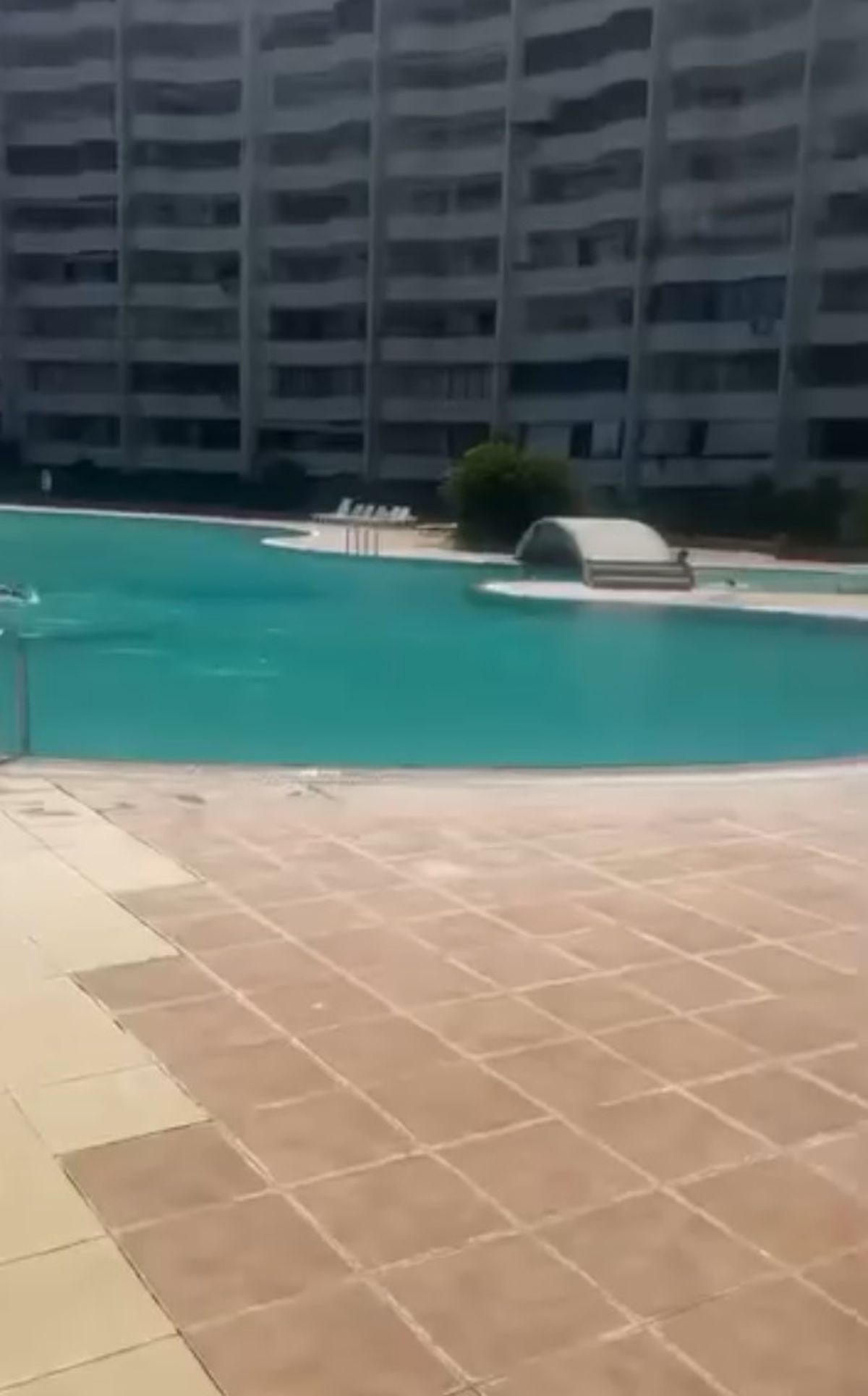 Mersin'de bir kadının haşema ile havuza alınmadığı iddiasına tutuklama