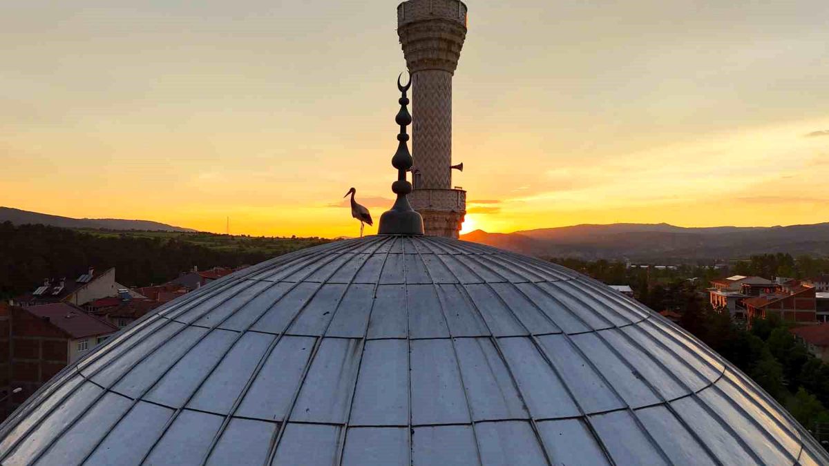 Leylekler gün batımını cami kubbesinde karşıladı, mest eden anlar havadan görüntülendi