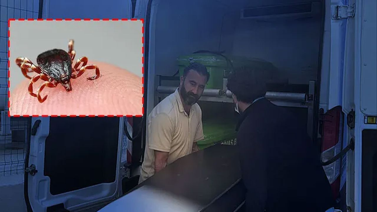 Sivas şehir merkezinde KKKA vakasına rastlanılmadı