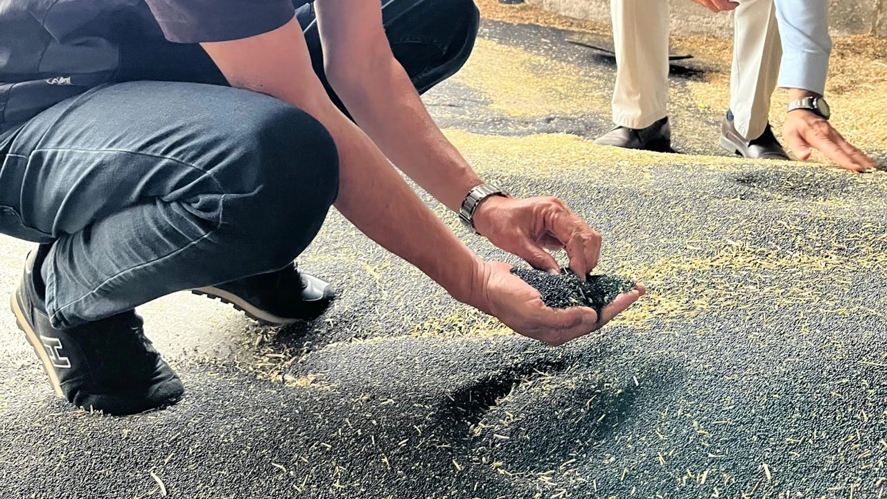 Bilecik’te kanola ve ayçiçeği alımları yerinde incelendi