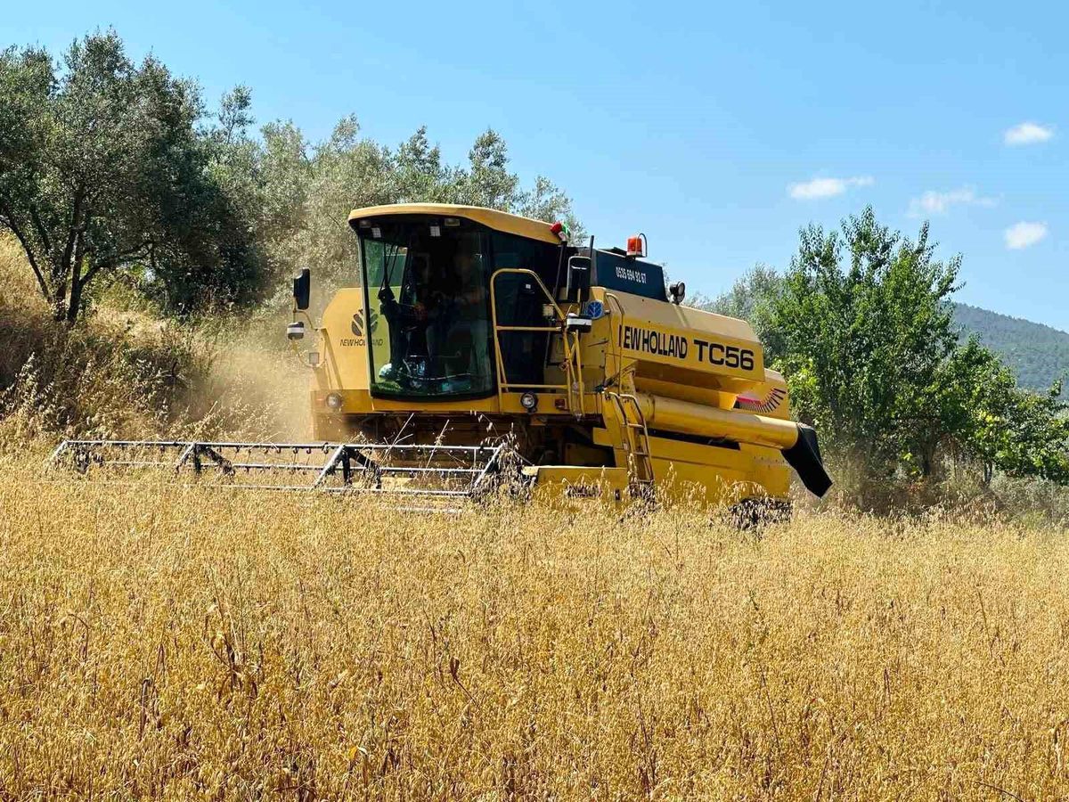 Menteşe'de biçerdöverlere sıkı denetim