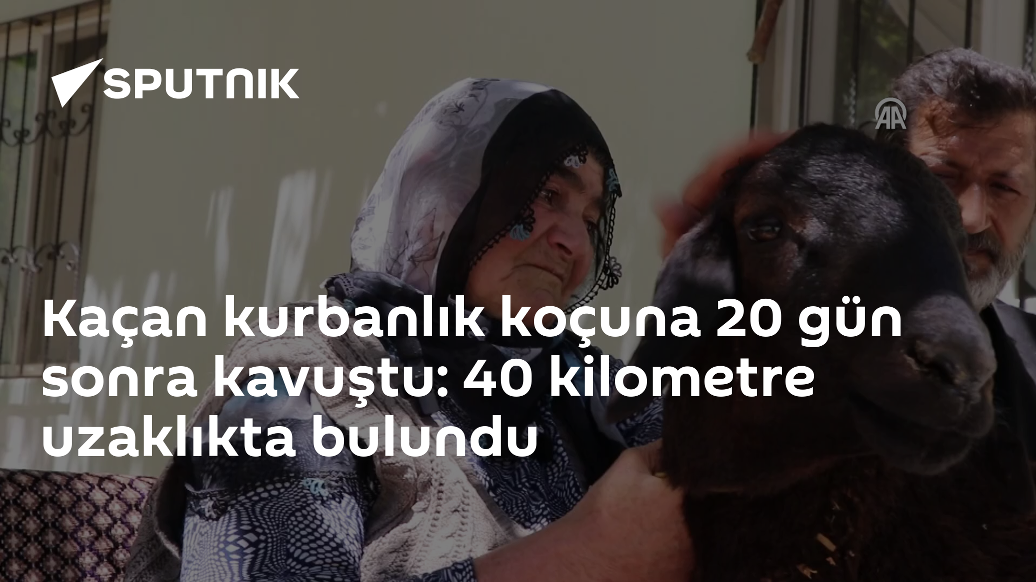 Kaçan kurbanlık koçuna 20 gün sonra kavuştu: 40 kilometre uzaklıkta bulundu