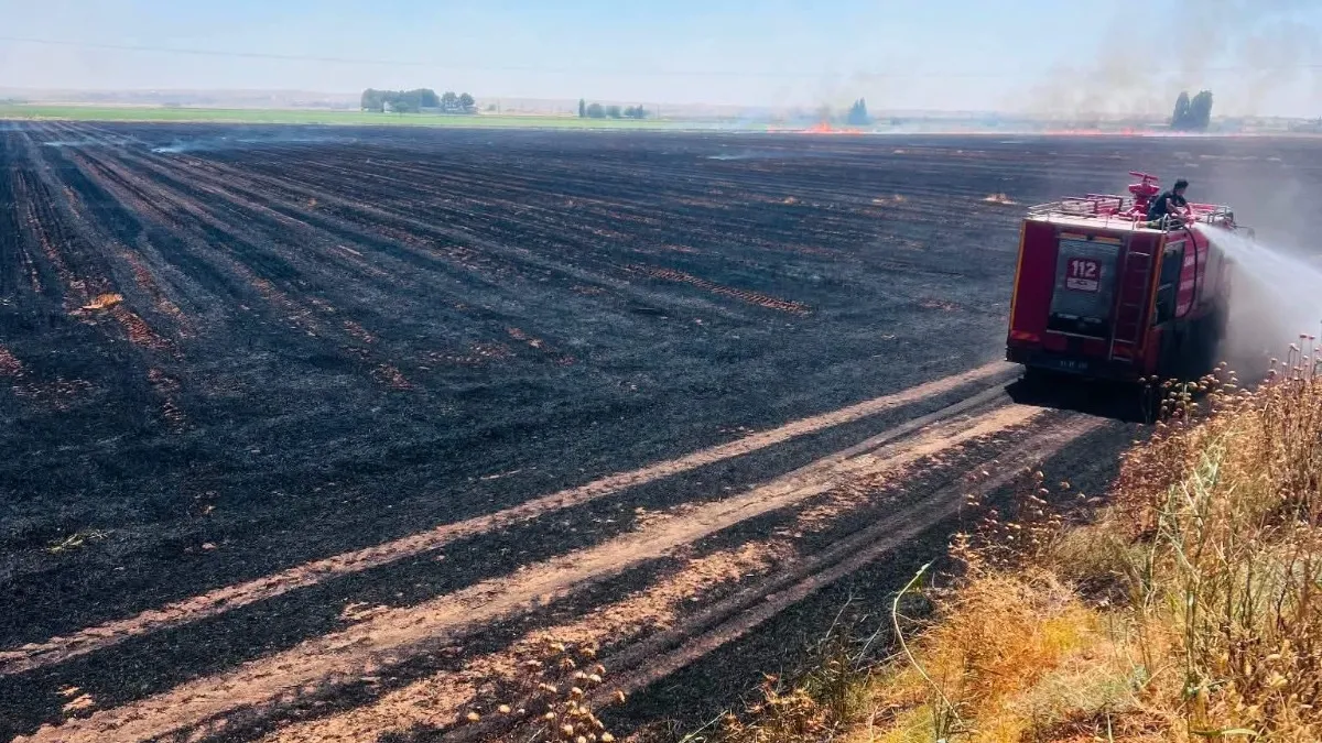 Harran'da 500 dönümlük tarlada anız yangını! İtfaiye ekipleri müdahale etti