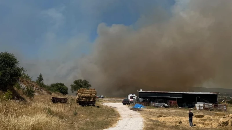 Çanakkale'de bozuk ormanda yangın: Olay yerine çok sayıda ekip sevk edildi