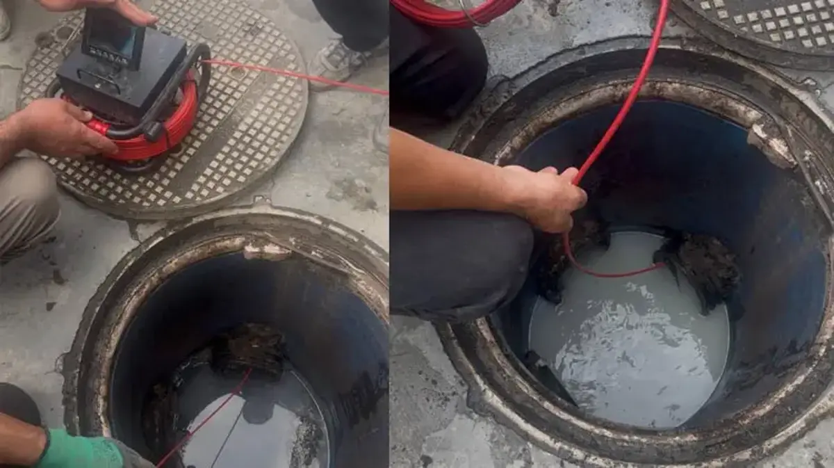 Hendek'te peynir fabrikasının atık su oyunu ortaya çıktı