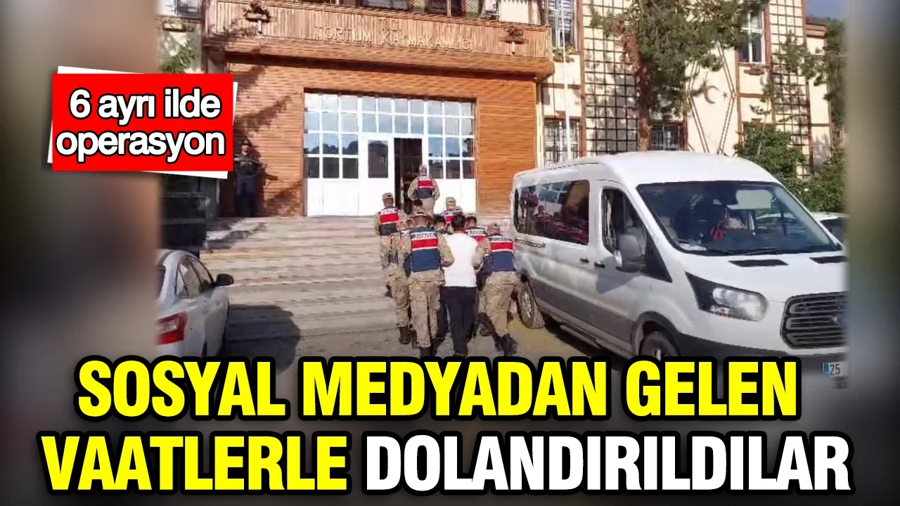 Sosyal medyada 'Hayvan satışı' tuzağı: 6 ilde eş zamanlı operasyon