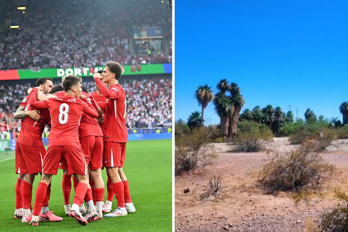 Milli Takım'da Arizona krizi! "Mecburduk" denildi, gerçek bambaşka çıktı
