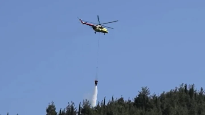 Manisa'da orman yangını! Havadan ve karadan müdahale ediliyor