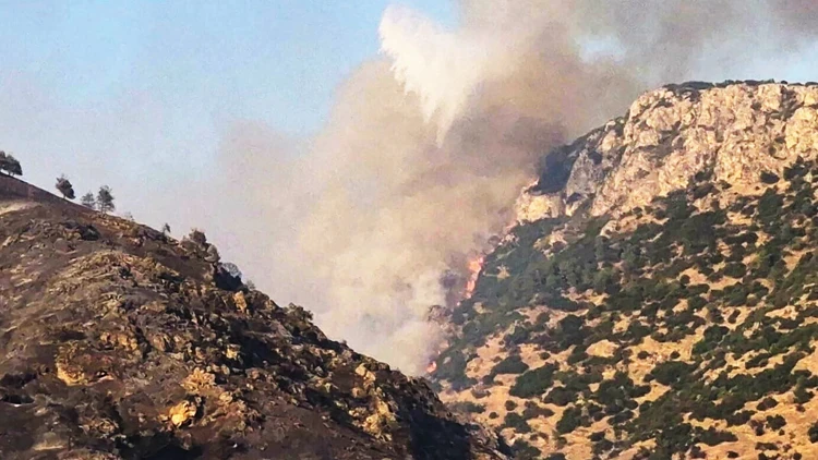 Orman yangını 14.5 saatte söndürüldü