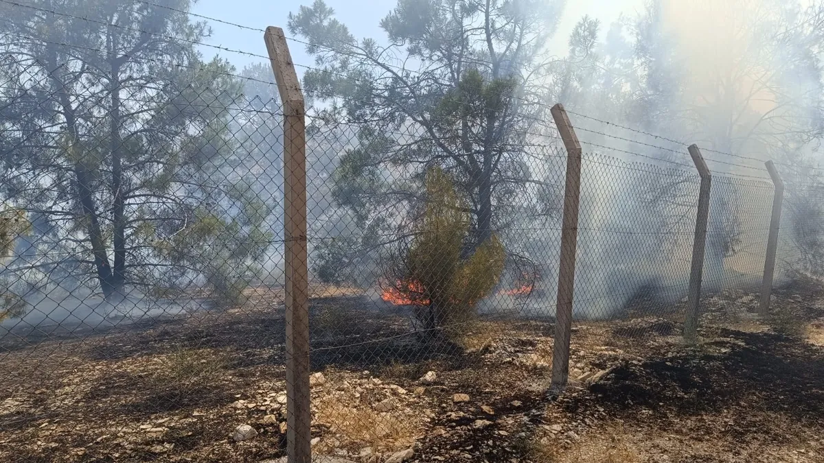 Şanlıurfa'da orman yangını
