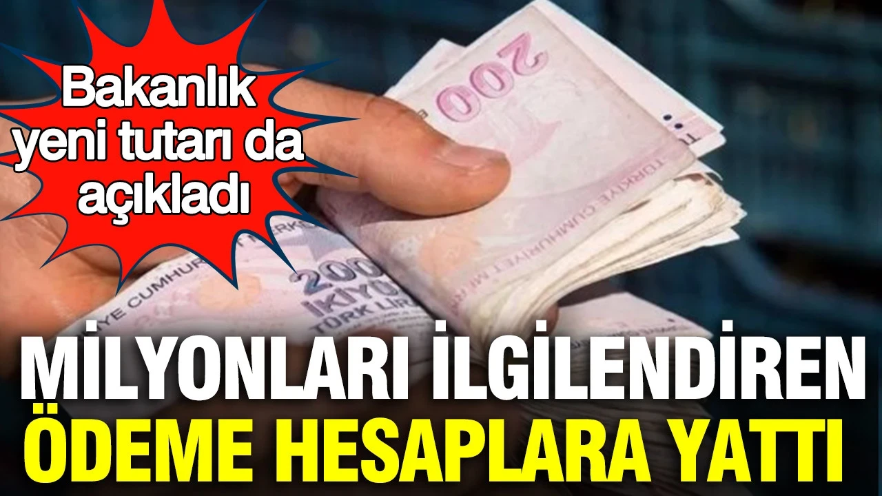 Milyonları ilgilendiren ödeme hesaplara yattı: Bakanlık yeni tutarı da açıkladı
