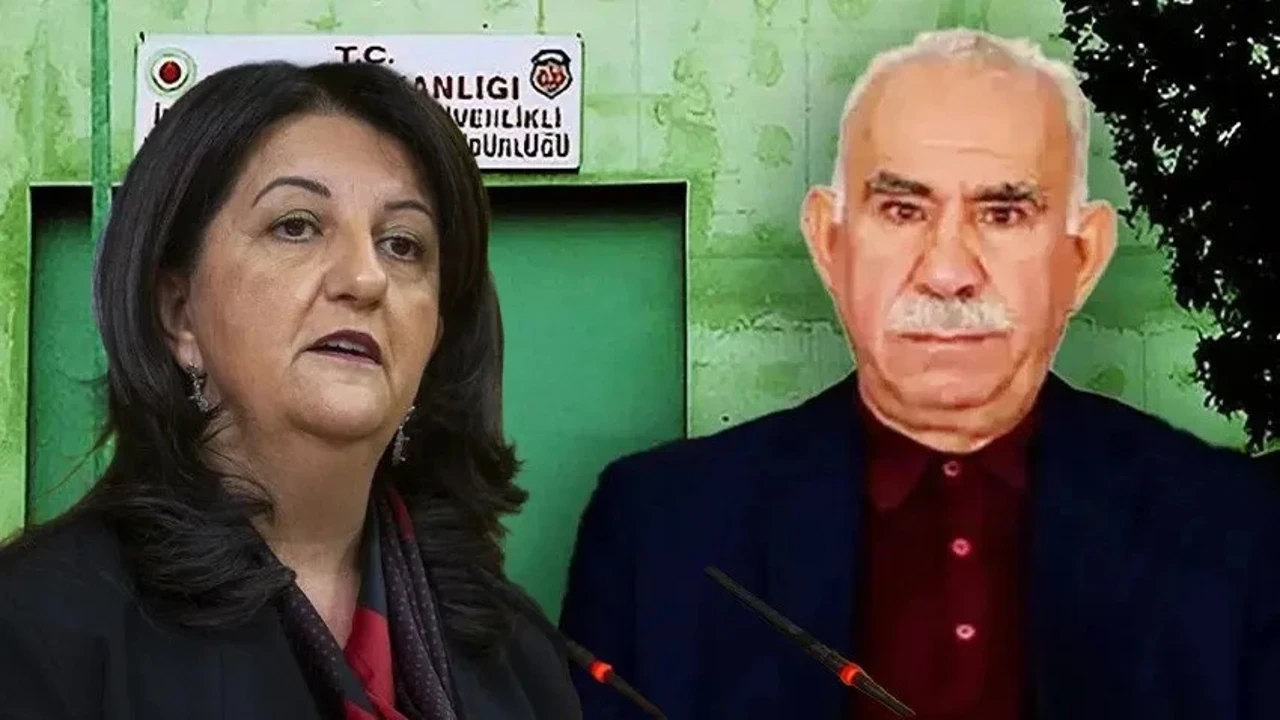 DEM Parti heyeti İmralı'ya gitti: Öcalan ile görüşecekler!