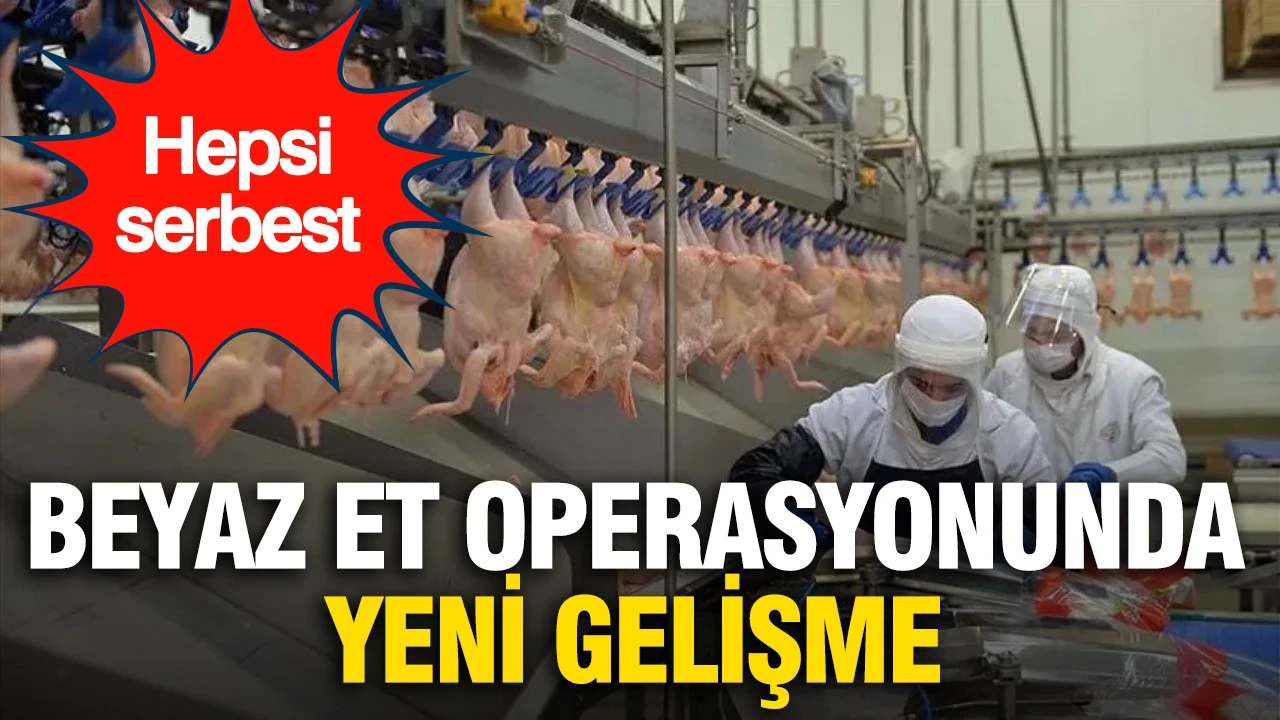 Beyaz et operasyonunda yeni gelişme: 29 kişi serbest bırakıldı