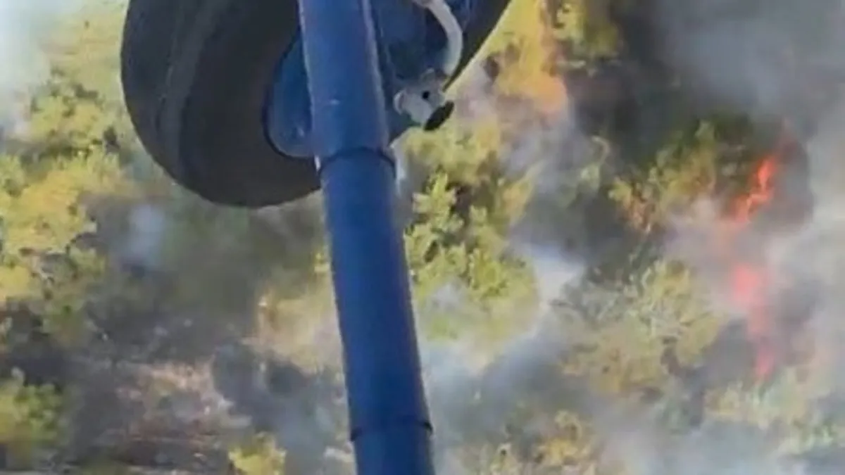 Aydın'da korkutan yangın