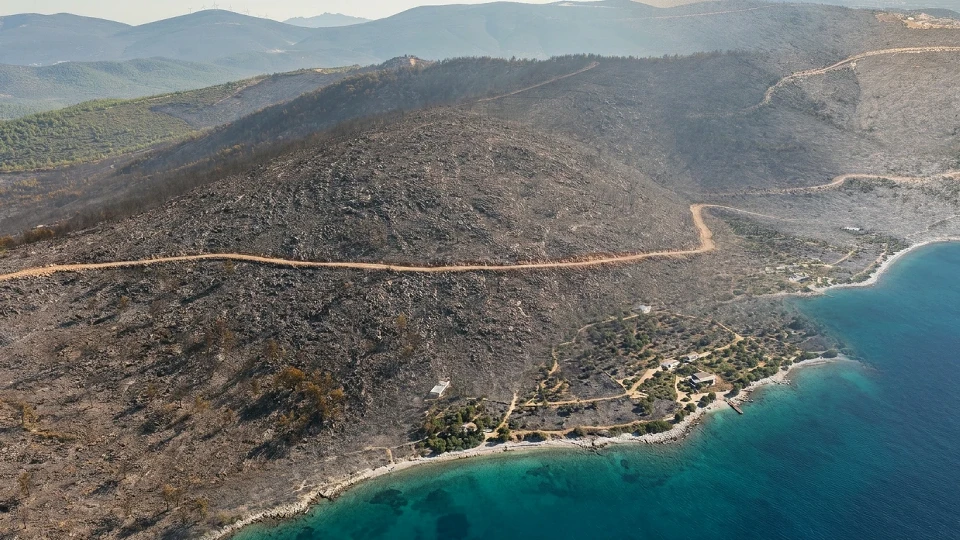Yeşil örtü karaya döndü: Orman yangını yeşille maviyi ayırdı