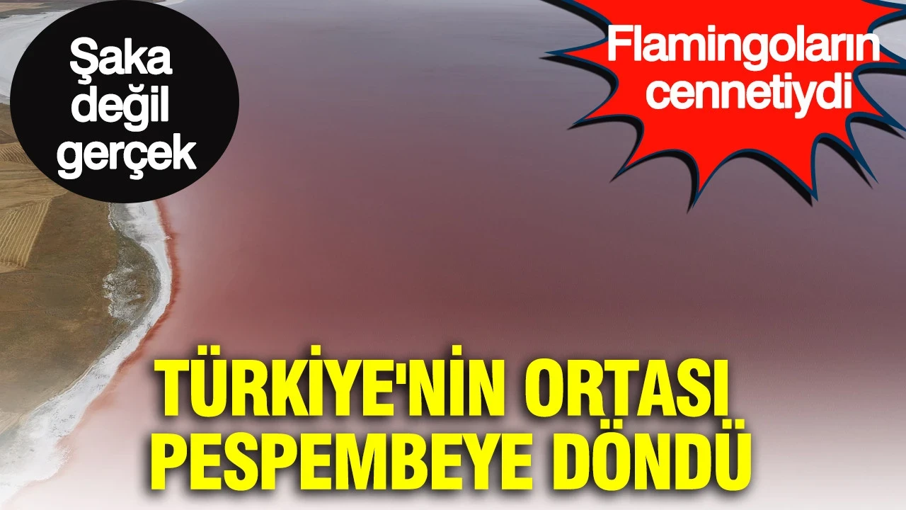 Şaka değil gerçek: Türkiye'nin ortası pespembeye döndü: Flamingoların cenneti