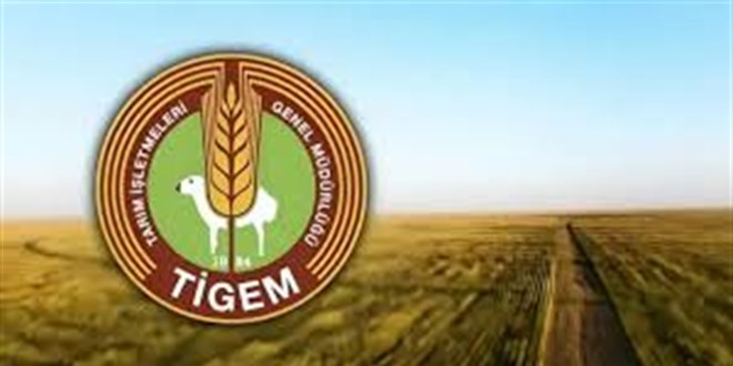 TİGEM, 12 çeşit ata tohumunu sertifikalı üretiyor