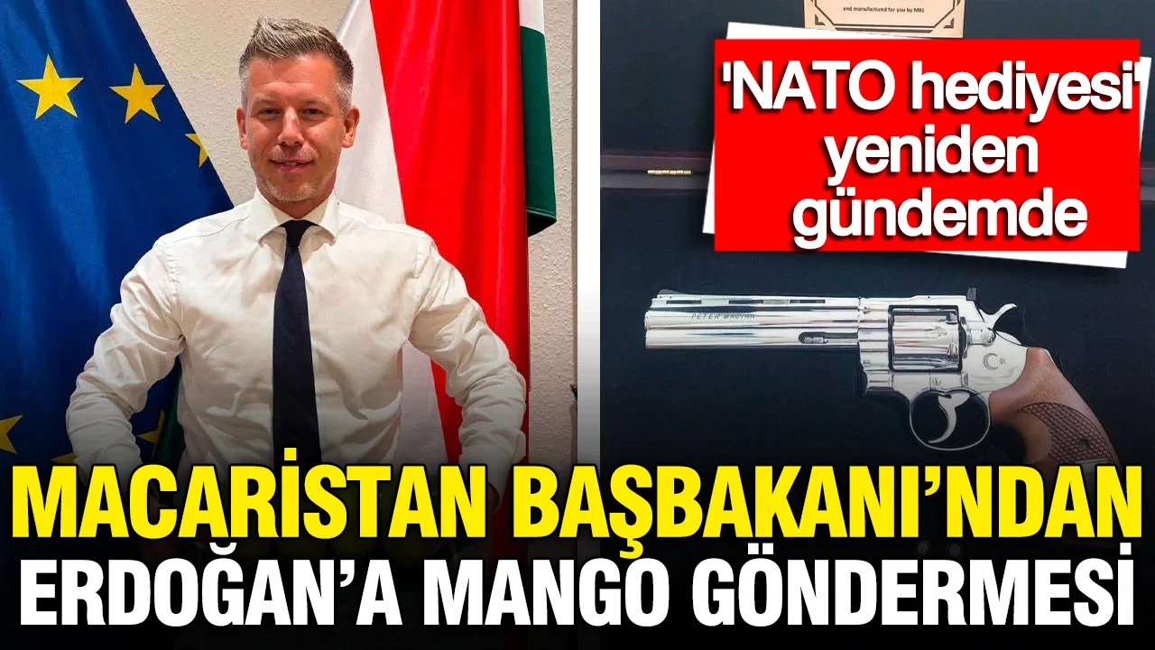 'NATO hediyesi' yeniden gündemde: Macaristan Başbakanı’ndan Erdoğan’a mango göndermesi