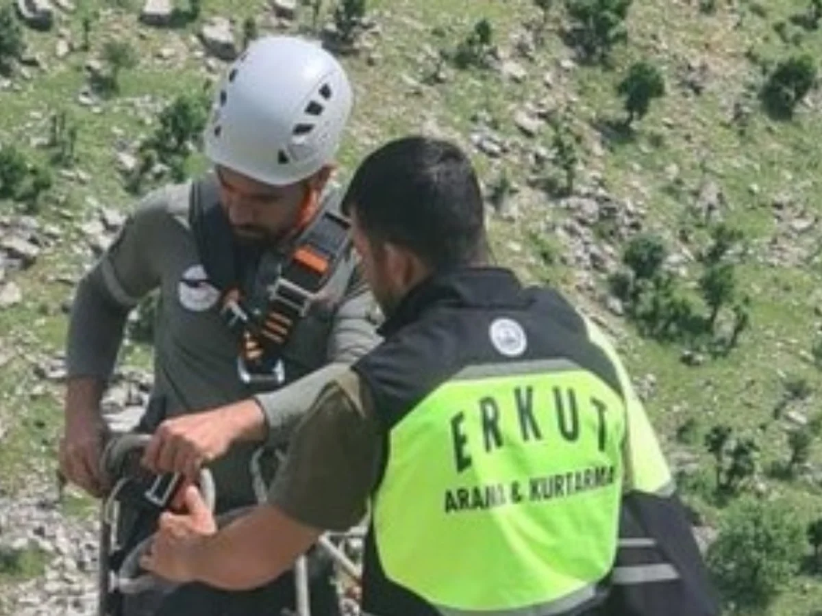 Siirt'te kayalıklarda mahsur kalan keçi, 8 gün sonra kurtarıldı