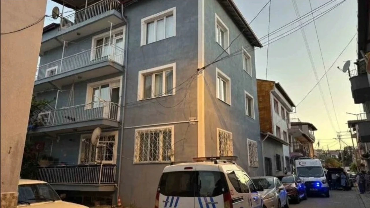 Bulaşık makinesinden 2 metrelik karayılan çıktı