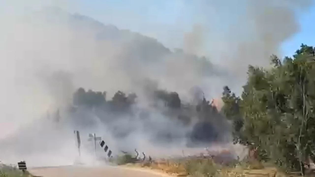 İznik Elbeyli'de orman yangını: Ekipler ve vatandaşlar seferber oldu