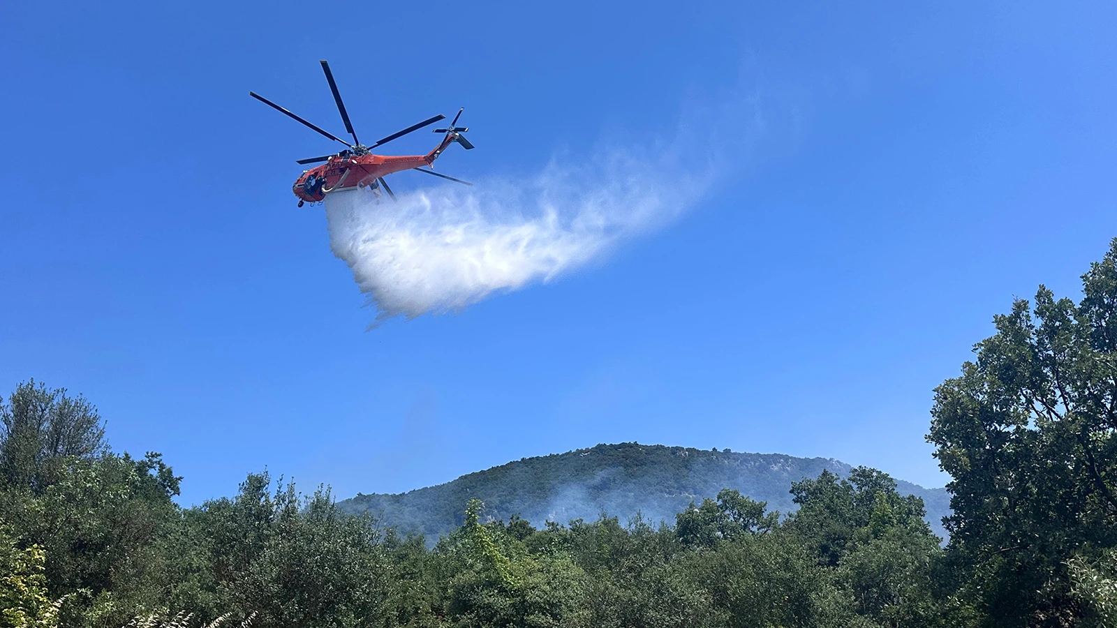 Çanakkale'de orman yangını