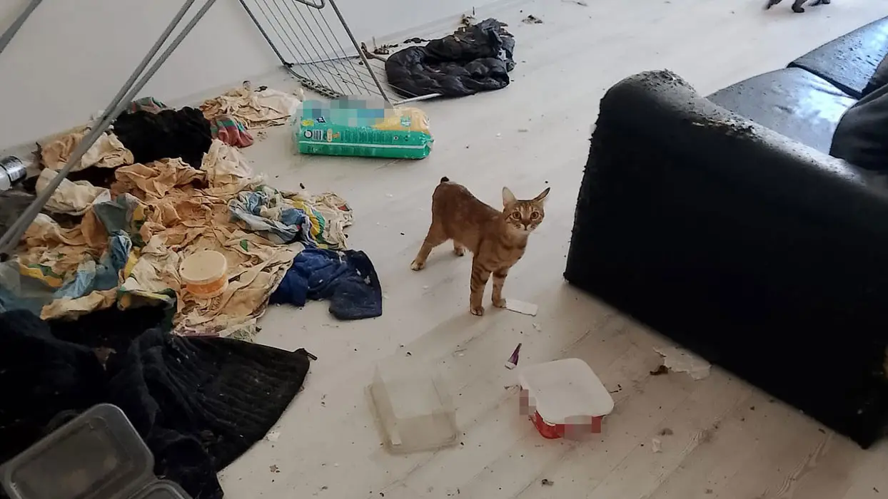 Koku komşuları canından bezdirdi! Kapı açılınca gerçek ortaya çıktı