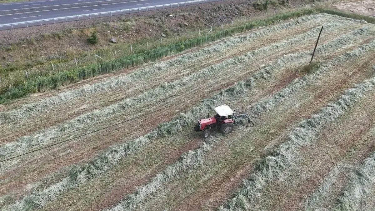 Bingöl’de tarımda çift bereket dönemi! İlk hasat bitti, ikinci mahsul için traktörler sahaya indi