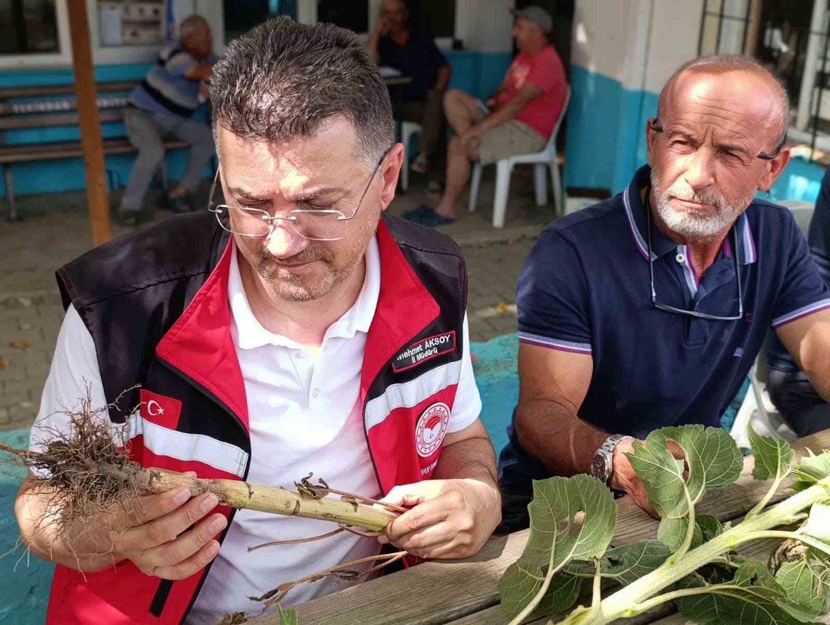 Tekirdağ'da dolu hasar tespit çalışmaları