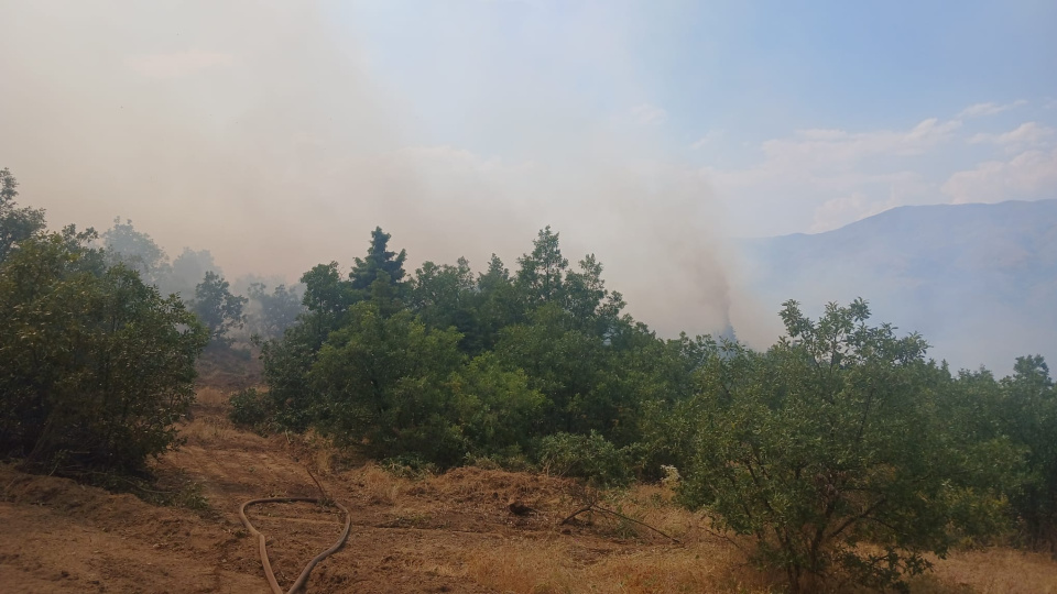 Malatya'nın Pütürge ilçesinde çıkan orman yangınına ekiplerin müdahalesi sürüyor