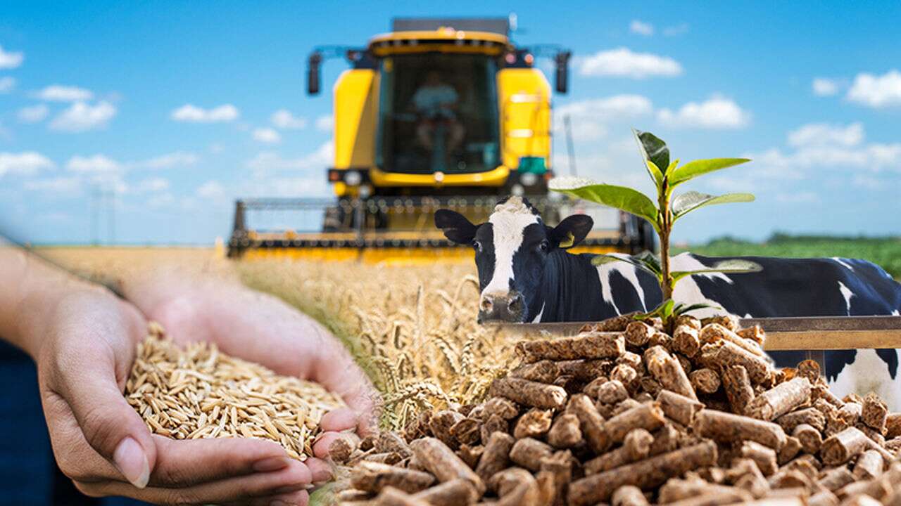 Kooperatiflerin ihracatı 5 ayda 47 milyon dolara ulaştı