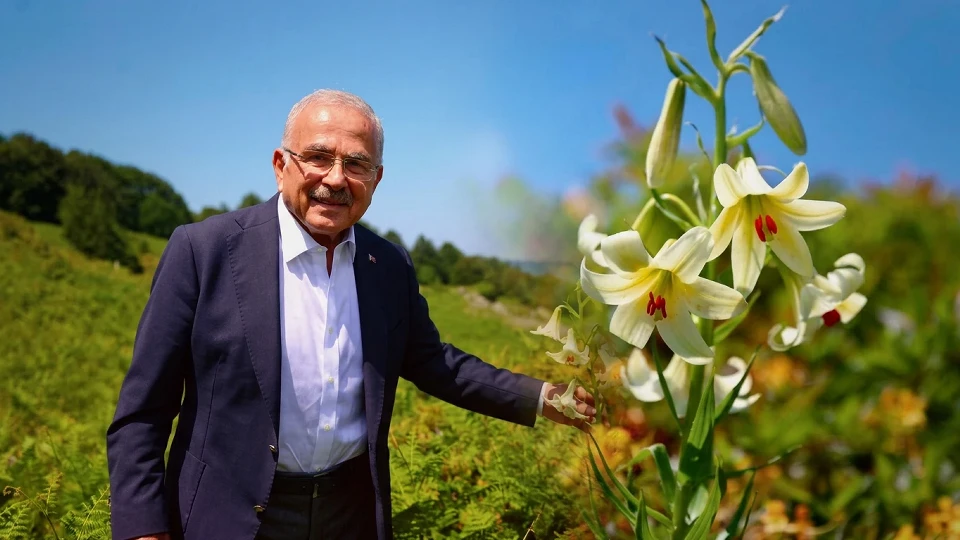 Ordu'nun nadir endemik türü Akkuş zambağı: Koparanlara 699 bin TL ceza veriliyor | Çevre Haberleri