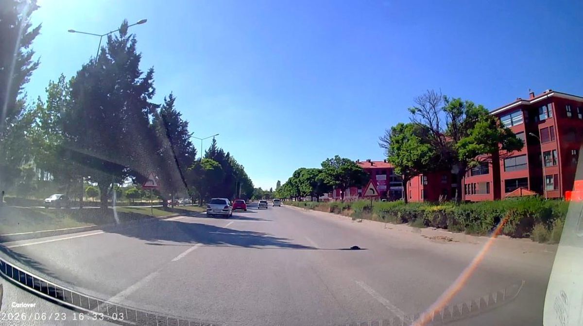 Kara yolunda mahsur kalan kaplumbağasına yardım eli
