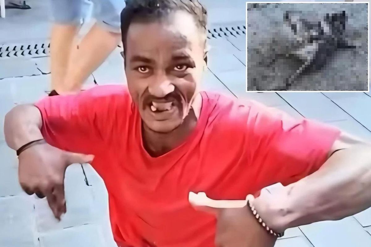 Martılara falçatayla saldıran kişi yakalandı! Bakın kim çıktı
