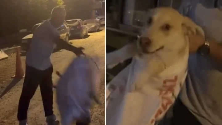 Hatay'da köpeği çuvala koyularak götürülmek istenen köpeği, hayvansever kadın kurtardı