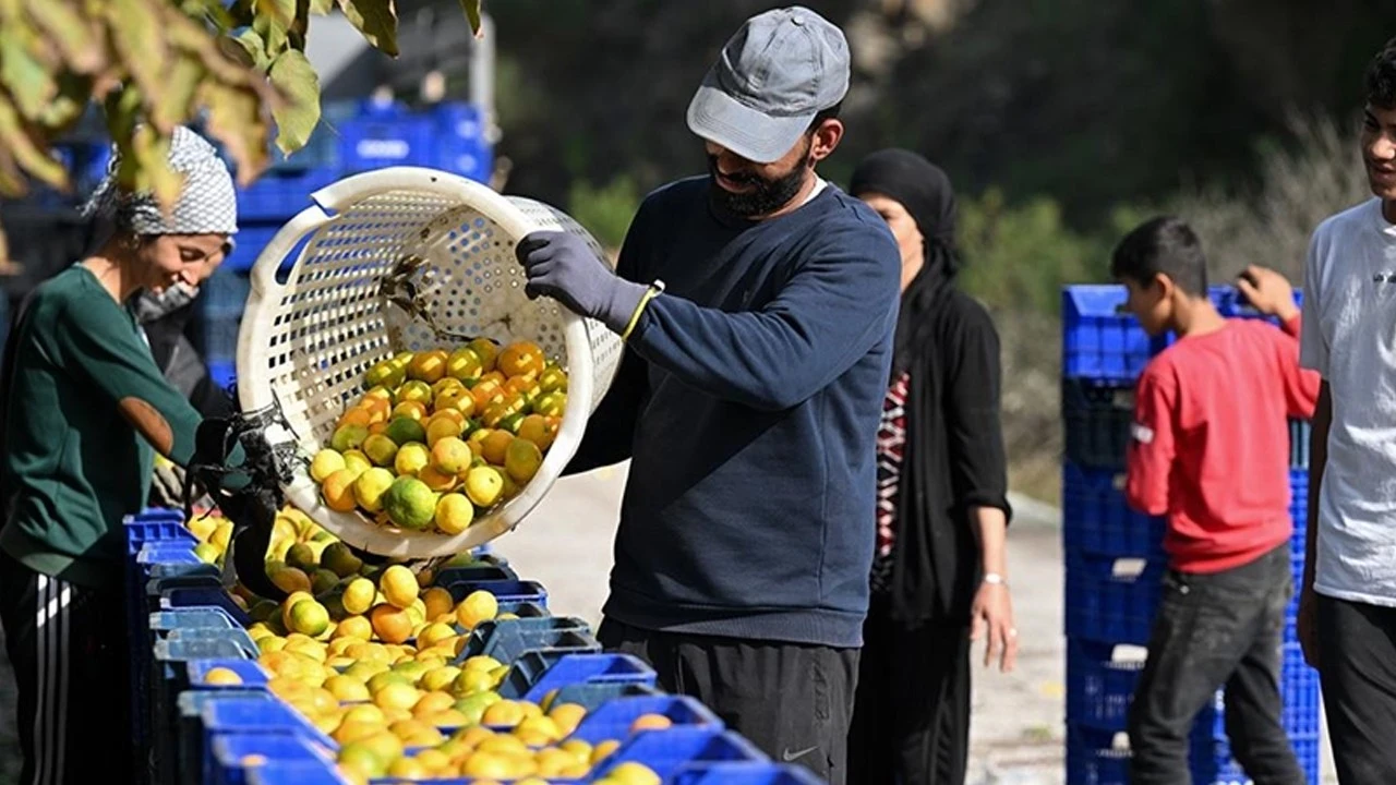 Tarım ve gıdanın dış ticaret fazlasında yüzde 74 gerileme
